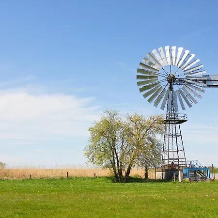 شقة Strandhaus Moenchgut Ferienwohnung 16 Mit Sauna- Und Schwimmbadnutzung Im Ahoi Sellin *