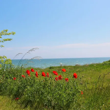 Strandhaus Moenchgut Ferienwohnung 16 Mit Sauna- Und Schwimmbadnutzung Im Ahoi Sellin شقة